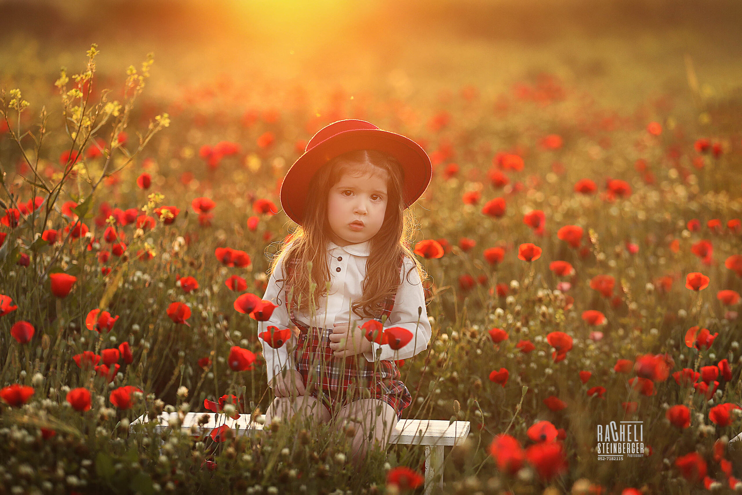 917A9967 copy (1)